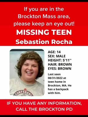 A post by @murphy617 on TikTok caption: This is a clearer image of @popcornqueen330 son. Please share/repost this. More eyes looking would be amazing. Wish I could do more #missingperson #brockton #brocktonma #massachusetts #fyp #greenscreen 