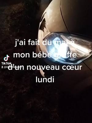 A post by @manubasquin1 on TikTok caption: #mecano#renault#voiture passion #voiture pas cher