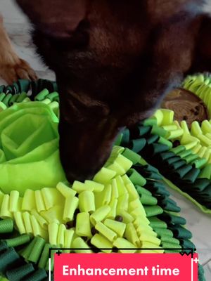 A post by @furryfabfour on TikTok caption: Trying out the new avocado mat mom got me! #shepherd #lickmats #mealtime #peanutbutterislife #sohungry