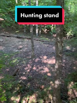 A post by @thecamocartel on TikTok caption: Ready to get this hunting season under way… who’s with me! #thecamocartel #Outdoors #whitetail #deer #hunting #meateater #farmtotable 