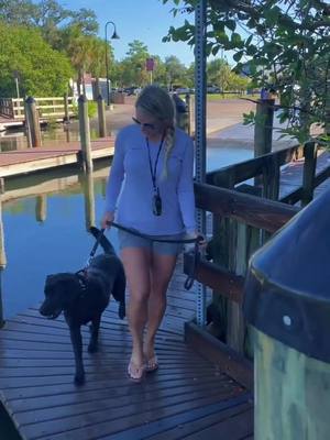 A post by @brittanyandstella on TikTok caption: Stella’s ready for sandbar day #boatdog #sandbar #boatdays