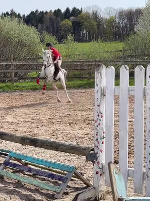 A post by @18equestrian on TikTok caption: Stereotypical mare + stereotypical pony = fun