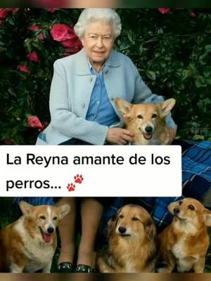 A post by @dogsandcharly on TikTok caption: La Reyna amante de los perritos #dogsandcharly #fallecelareinaisabel 