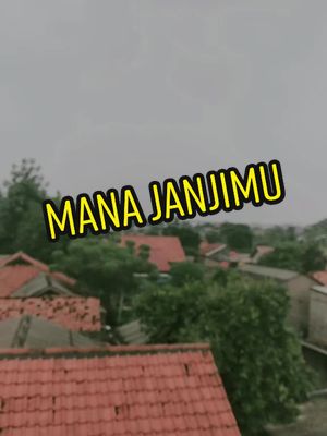 A post by @bonsai1914 on TikTok caption: janjimu palsu 🖕🏻#fypシ #fypage