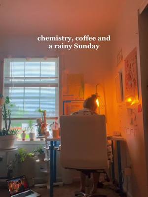 A post by @sarah.annne on TikTok caption: #studenttok #chemistry #coffee #rainyday #prepa #hipdysplasiaawareness 