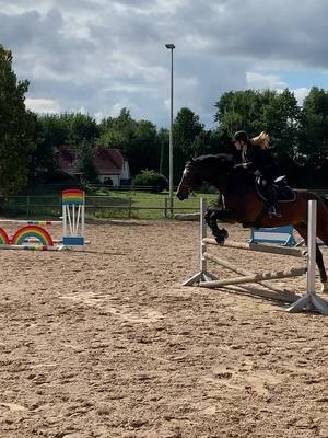 A post by @fynni.with.horses on TikTok caption: Heute mal Fremdgesprungen🙈🫠 #crossfireS#jump#überflieger#foryou#fyp#viral