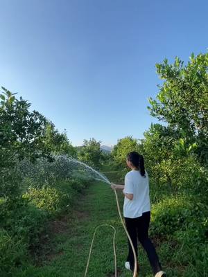 A post by @iamnnniki on TikTok caption: I hope that someone like me can also love this life #newtrend #China #agriculture