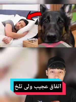 A post by @itsdective on TikTok caption: خیلی واقعا تلخ بود💔 #فوريو #فوریوپیج #فوریو_فوریو #فوریو_نظری_به_حال_ما_کن #ترسناک #عجایب #فکت #تئوری #fy #fyp #foryou #foryoupage #fypシ