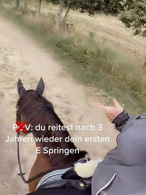 A post by @fynni.with.horses on TikTok caption: Tips zum Kopf ausschalten beim Springen?😅🫠 #viento#competitiontime#jumping#espringen#aufgeregt#pov#foryou#fyp#viral