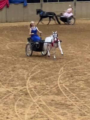 A post by @specialeffexfarms on TikTok caption: Another clip of Casper from Nationals this past week 