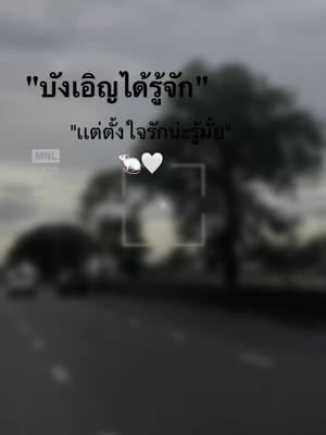 A post by @2004jj5 on TikTok caption: ถึจะบังเอิญ เเต่ก็ตั้งใจรักนะ🐁🤍#อกหักเศร้า💔🥀😞 #เเท็กเเฟนมาดู #ภารกิจคนดีย์ #ยืมลงสตอรีได้น้าาา🕊💗 #เธรดเศร้าシ #ช่างยนต์ตัวลาย⚙️💉 #fypシ 