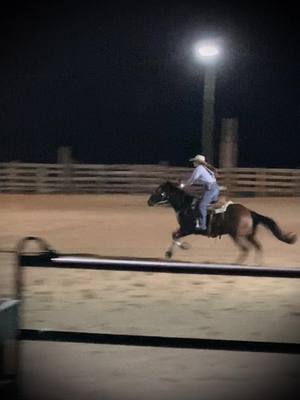 A post by @willowgriffith1 on TikTok caption: First rodeo season and he looks like this already?? 🫢#shaggy #rodeo #fridaynightlights #barrelracer 