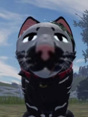 A post by @angel.wcue on TikTok caption: *gaps* #warriorcatsultimateedition #warriorcats #wcue #roblox 