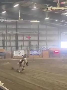 A post by @lismitchl on TikTok caption: Our top pattern at 2022 Canadian finals! #mountedshooting #arabian #palomino #cowgirlshit #girlswithgun #pewpew #canadianfinals 