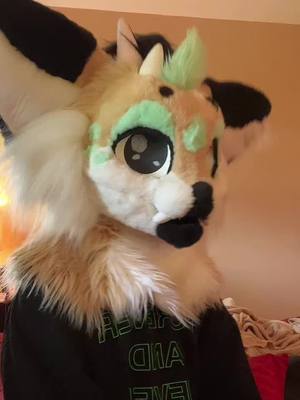 A post by @just_a_dumb_melon on TikTok caption: #furry #jffjgfdxvjt #furryfandom #fursuit #fursuiter