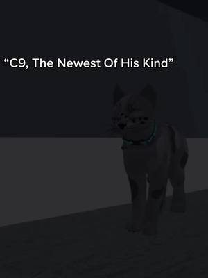 A post by @angel.wcue on TikTok caption: C9 #warriorcatsultimateedition #warriorcats #wcue #roblox 