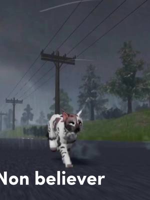 A post by @angel.wcue on TikTok caption: #warrioractsultimiteedition #warriorcats #wcue #roblox 