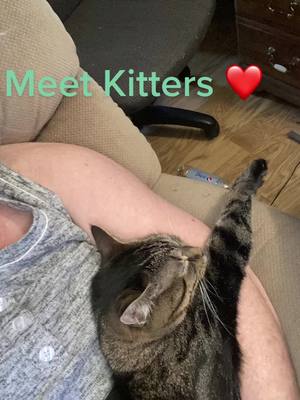 A post by @jodyw1970 on TikTok caption: Meet Kitters best part about your animal is they love you no matter what❤️#catmom #foryoupage #catmomlife 