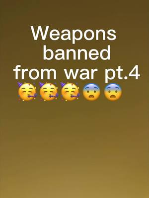 A post by @slimjims_stepmom on TikTok caption: #CapCut  #funny #weaponsbannedfromwar #karen 