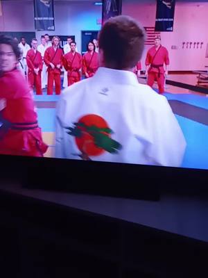 A post by @cobrakai.clips18 on TikTok caption: #fyp #fy #viral #miguel #cobrakai #hawk #cobrakaiclips18 @Noah @... @. @Cobrakai🔥🐍 @Cobrakai.clips16 @Cobra Kai 🐍🔥 @Gary Gamer 