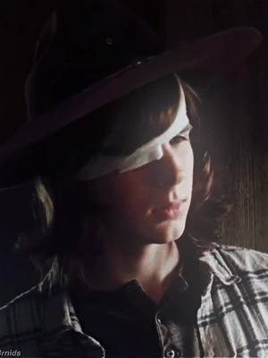 A post by @c4rnids on TikTok caption: carl grimes lovers unite!! #fyp #twd #thewalkingdead #carlgrimes #carlgrimesedit #carltwd #grimes #rickgrimes #chandlerriggs 