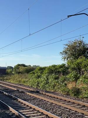 A post by @westcoastelectrics on TikTok caption: It’s finally back! Here’s 55022 passing Winsford this morning with a charter service bound for Newcastle from Wolverhampton, I hope you enjoy! 💙