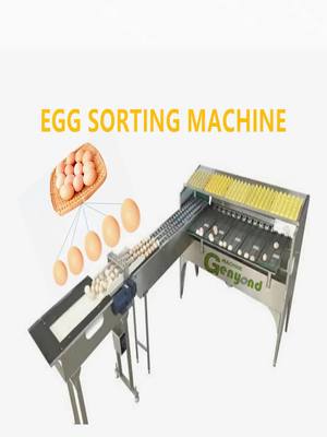 A post by @genyondmachinery on TikTok caption: Automatic Egg washing Candling weighting grade sorter grader Classifier chicken egg sorting grading machine. #genyond #eggsorter #egggrading #eggsort