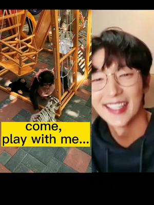 A post by @lee.joon.gi on TikTok caption: #🤣 #🤣🤣 #🤣🤣🤣 #funny #fun #funnyvideo #funnyvideos #smile #leejoongi #foryou #fyp #monkey #tiger 