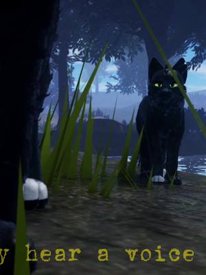 A post by @enderman.wcue on TikTok caption: ` Raven’Tusk and his grandma! | #wcue #warriorcats #wcueenderman #wcueender #waca #warriorcatsroblox #endermanwcue #wcueedit #wcuefyp #wcueroblox #wcueoc 