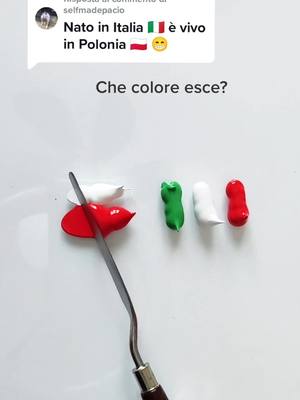 A post by @_mixing_colors_ on TikTok caption: Risposta a @selfmadepacio #mixingcolors #italia #polonia #imparacontiktok #perte