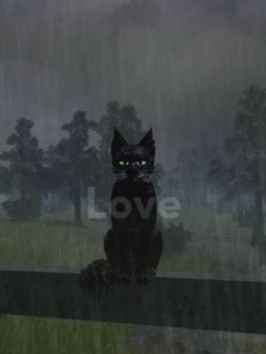 A post by @angel.wcue on TikTok caption: She Knows #warriorcatsultimateedition #warriorcats #wcue #roblox 