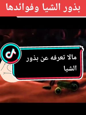 A post by @slam.fmm on TikTok caption: #viral #foryoupage #foryoupage #اكسبلور #تيك_توك #ترند #ترند_تيك_توك #مفيد #دكتور #بذور_الشيا #بذور #doctor #كريم_علي #