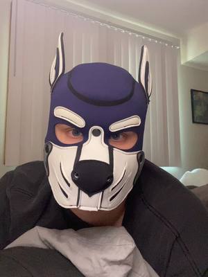 A post by @pupmystic on TikTok