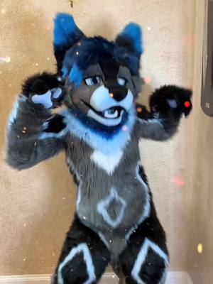 A post by @blackcheetah905 on TikTok caption: Welcome Ruko the Wusky to the party💙🖤 A cutie who just wants to cuddle all day🥺 #furry #fursuit #adorable #cute #fyp #foryoupage #fursuitmaker #fursuitmaking #featureme #viral #adorable 