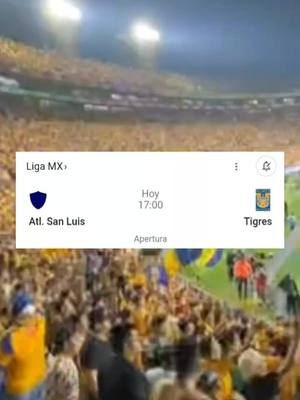 A post by @santi_ff346 on TikTok caption: tigres