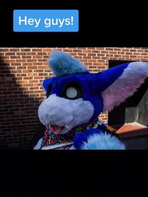 A post by @bluefloofuk on TikTok caption: Can't wait! Going to be participating in the tiktokfurs event going on too! Feel free to say hi if you see me in suit. #furcation2022 #furryfandom #seeyouthere