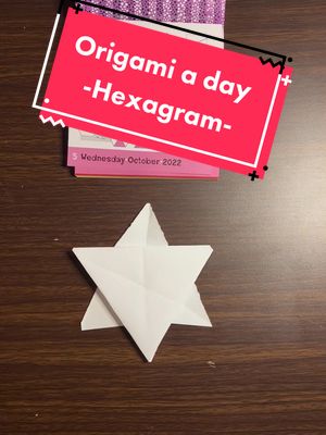 A post by @origamilesson on TikTok caption: Decided to get an Origami a day calendar, should I try to do this everyday? #fyp #origamilesson 