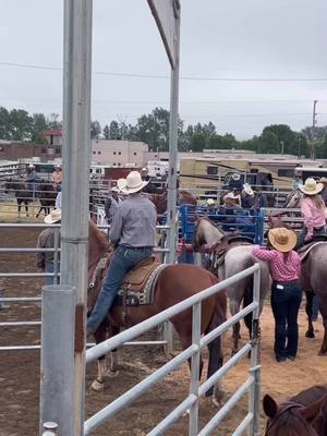 A post by @porkerheelsfeetz on TikTok caption: Silly @nighthawk_henry supposed to catch them #roping #rodeo #fyp #foryou #cowboss