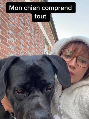 A post by @emmapearl01 on TikTok caption: Plus gros que moi !                                  #canecorso #pourtoi #canecorsoitaliano #groschiensdamour #chien #amourdechien 