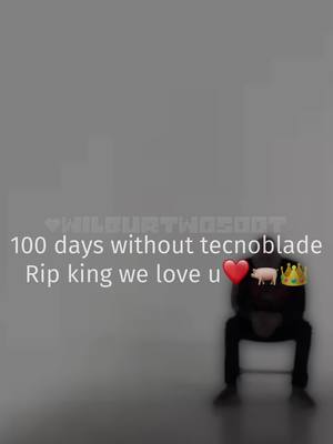 A post by @wilburtwosoot on TikTok caption: #CapCut  we miss u king🐖👑 #wilburtwosoot #edits #dreamsmp #ripthecnoblade #tecnoblade