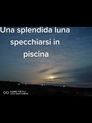 A post by @schefa4 on TikTok caption: #una splendida luna specchiarsi in piscina#