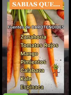 A post by @nhenaketo2 on TikTok caption: Carotenoides💚 Sigueme para más consejos saludables 👉visita mi ENLACE👈 #carotenoides #zanahorias #mango #pimientos #calabazas #espinacas #Kale #tomatesrojo# consejos #consejossaludables  #saludybienestar #bienestarysalud #plannutricional #nutricion #salud #sano #dieta #diet #bajardepeso #bajardegrasa #eliminargrasa #keto #ketodiet #ketolife #ketolifestyle #ketosis #ketosalud #ceto #cetosis #cetogenica #cetona #cetosisnutricional #ketonutricion #estilodevida #transformacion #ketoespañol #fitness #parati 