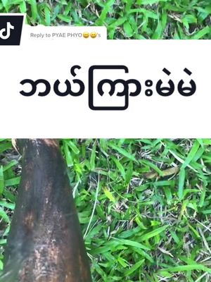 A post by @thirihanaung2 on TikTok caption: Replying to @PYAE PHYO😄😄 #tiktokuni #fypシ #thinkb4youdo #studytips #tiktokmarketplace #skincare #yourmysoap #တွေးပြီးမှတင်ပါ #အသားဖြူချင်သူများအတွက် #အသားမဲတွေလာကြနော် 