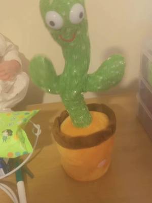 A post by @chloewells23 on TikTok caption: Just bought rhis dancing cactus