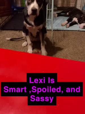 A post by @spicywifey02 on TikTok caption: The Understanding That We Have Is Great! #pupmomma #LexiJackson  #primeday