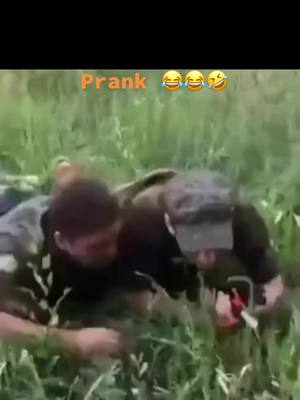 A post by @hopeyourhappyly on TikTok caption: #prank #funny 