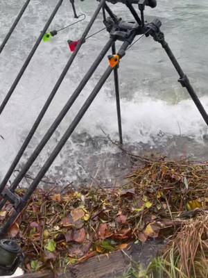 A post by @tomcarpefishing293 on TikTok caption: HARD carpfishing ! ⚠️🌬#carpefishing #fishing #hardfishing #riverfishing #carpiste #pecheenriviere #peche #carplife