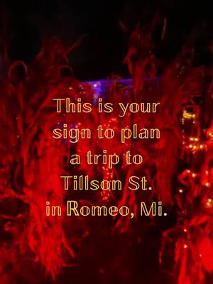 A post by @theoriginalmissmiller on TikTok caption: #greenscreen #greenscreenvideo This is your sign to plan a trip to Tillson St. in Romeo Mi. #halloween #michigan #spookyseason 