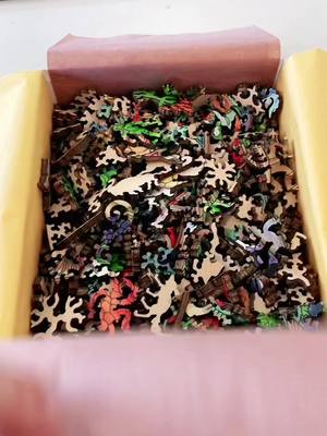 A post by @laceynrobinson on TikTok caption: Starting the coolest puzzle I have ever received. 471 wood pieces. Crazy shapes. Ill be here all night. #libertypuzzles #puzzle 