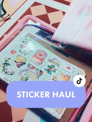 A post by @squilliam_fancysun on TikTok caption: Sticker haul from pa🌲on and some new stationery #haul #stationery #stickerhaul